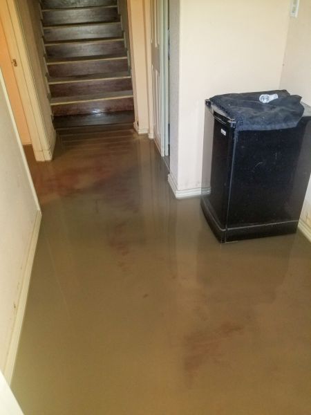 Emergency Water Removal in Boca Raton