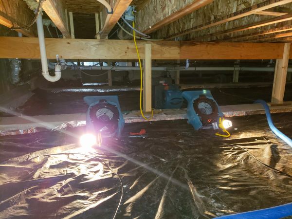 Crawlspace Water Removal in Boca Raton