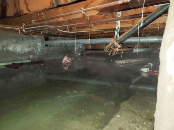 Crawlspace Water Restoration in Boca Raton